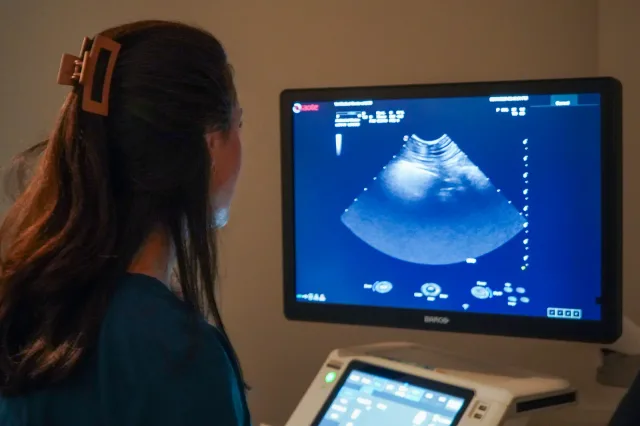 A veterinary team member using ultrasound equipment