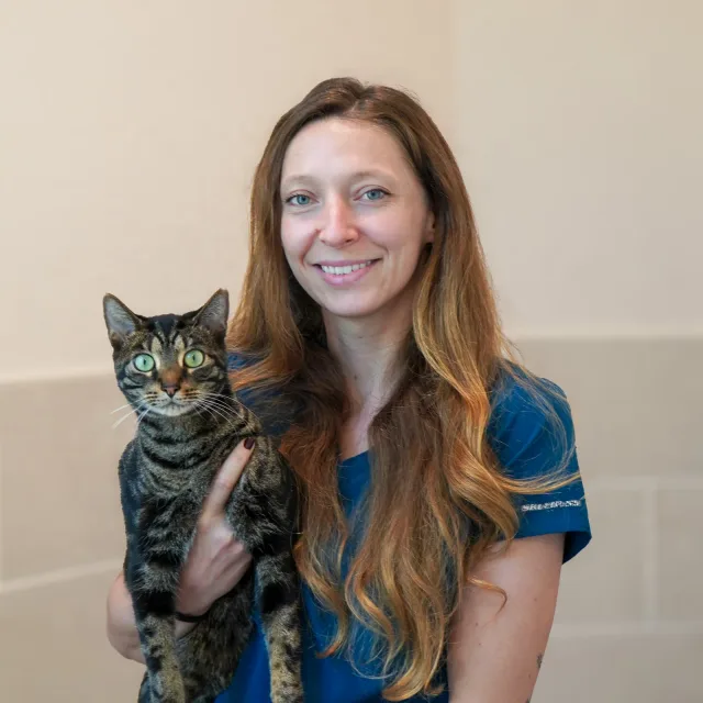 A VMC team member holding a tabby cat
