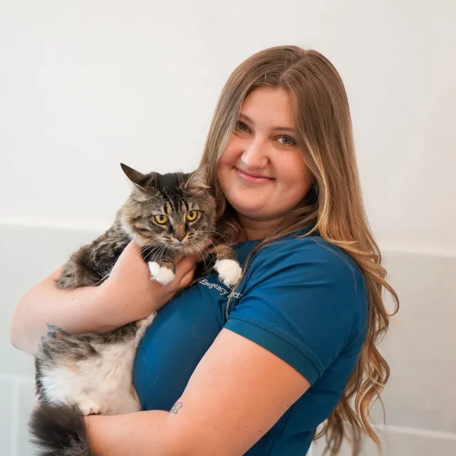 A VMC team member holding a tabby cat for a warm staff portrait