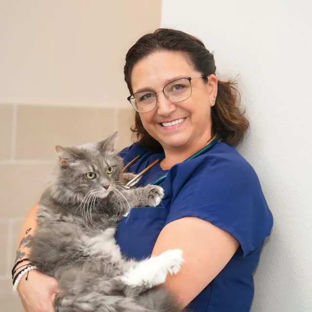 A VMC team member smiling while holding a long-haired gray cat