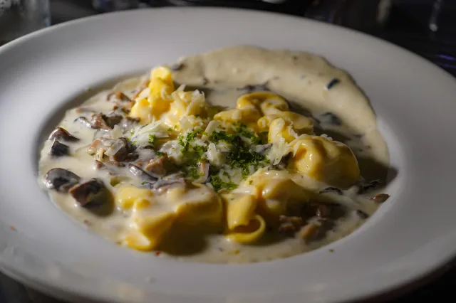 Creamy pasta with mushrooms and shaved cheese at Reggiano’s